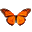 Butterfly on Desktop 1.0