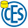 CEStronics Suite