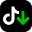 TikTok Downloader 3.2.3