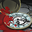 Shrouded in Sanity: Freebirth