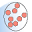 Bruker Daltonics ProfileAnalysis 2.0