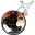 DroneMapper version v0.7 [b20170413-735]