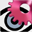 NetDVMS