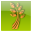 Agrim 2.1
