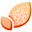 Planète Généalogie