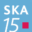 Norstedts Skatt Proffs 2015.4