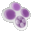 Opale 3.6
