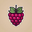 Raspberry