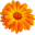 Wildflowers 3D Screensaver and Animated Wallpaper 1.1