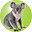 Australian Woodlands 4 trial