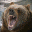 Super Slam Hunting Alaska