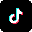 TikTok Downloader