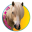 Lissy en haar vrienden