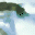 Sea Turtle Aquarium version 1.02