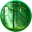 Forest Walk 3D Screensaver and Animated Wallpaper 1.0