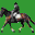 Equestriad 2001