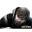 Tom Clancys Splinter Cell Conviction