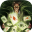 Mystery Solitaire - Arkhams Spirits
