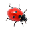 Ladybug on Desktop 1.1
