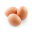 DeEgger Embedder