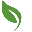 TypingTrainer
