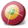 MICROSWING6