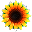 Sunshine Acres (remove only)