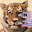 PedScope version 2.1.01