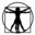 DaVinci version 1.0.28