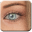 Kari Pro 6.1 32-bit 