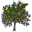WinDirStat 1.1.2