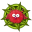 Evoly