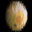 iOMoon