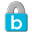Bask Backup