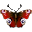 Spider Hunting