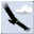 Condor