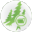Woodforest National Bank WNB Financial Desktop