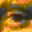 Xiao Stenography 2.6.1
