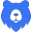 BearVPN