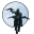 Haunted Legends - The Bronze Horseman_GenericShellNXWSecurom fr