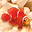 DigiFish Aqua Real 2