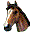 Riding Star