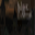 Bubonic: OutBreak