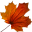 Autumn Wonderland 3D Screensaver and Animated Wallpaper 1.0