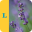 Langenscheidt Sprachtraining Franzoesisch A1A2
