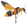 SFS/WASP version 1.51