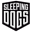 Sleeping Dogs Limited Edition