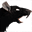 A Plague Tale: Innocence Persian version 1.0