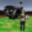 Roto Flats PC version 1.0