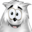 UpdateYeti